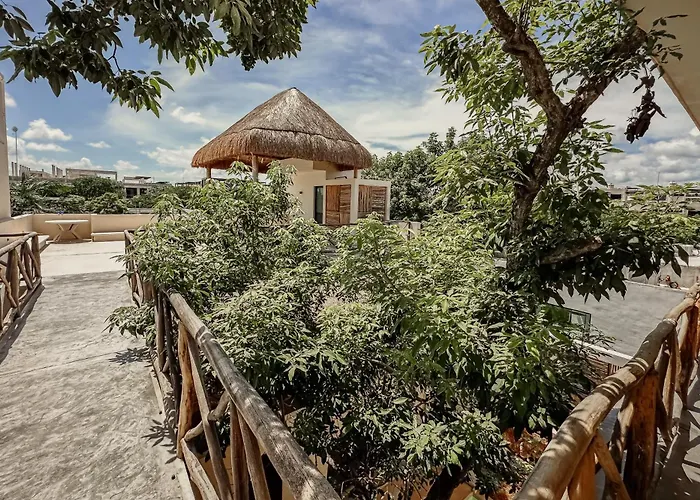 Casa Kobaab 4*