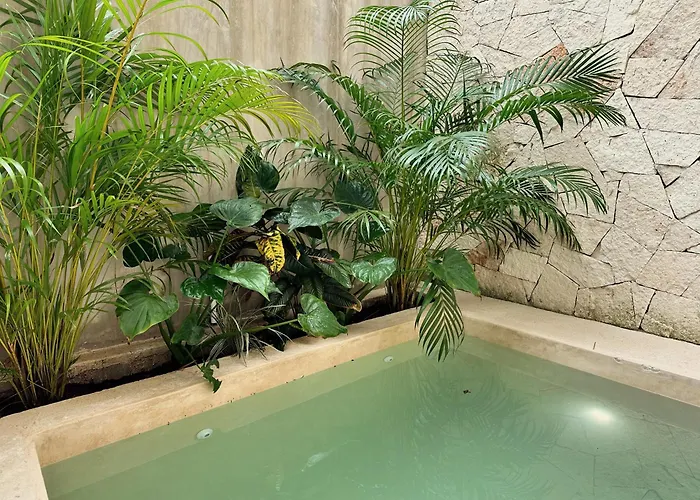 Casa Kobaab 4*